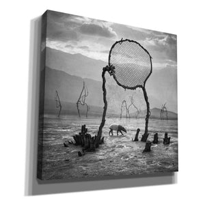 'Tapir' by Dariusz Klimczak, Giclee Canvas Wall Art