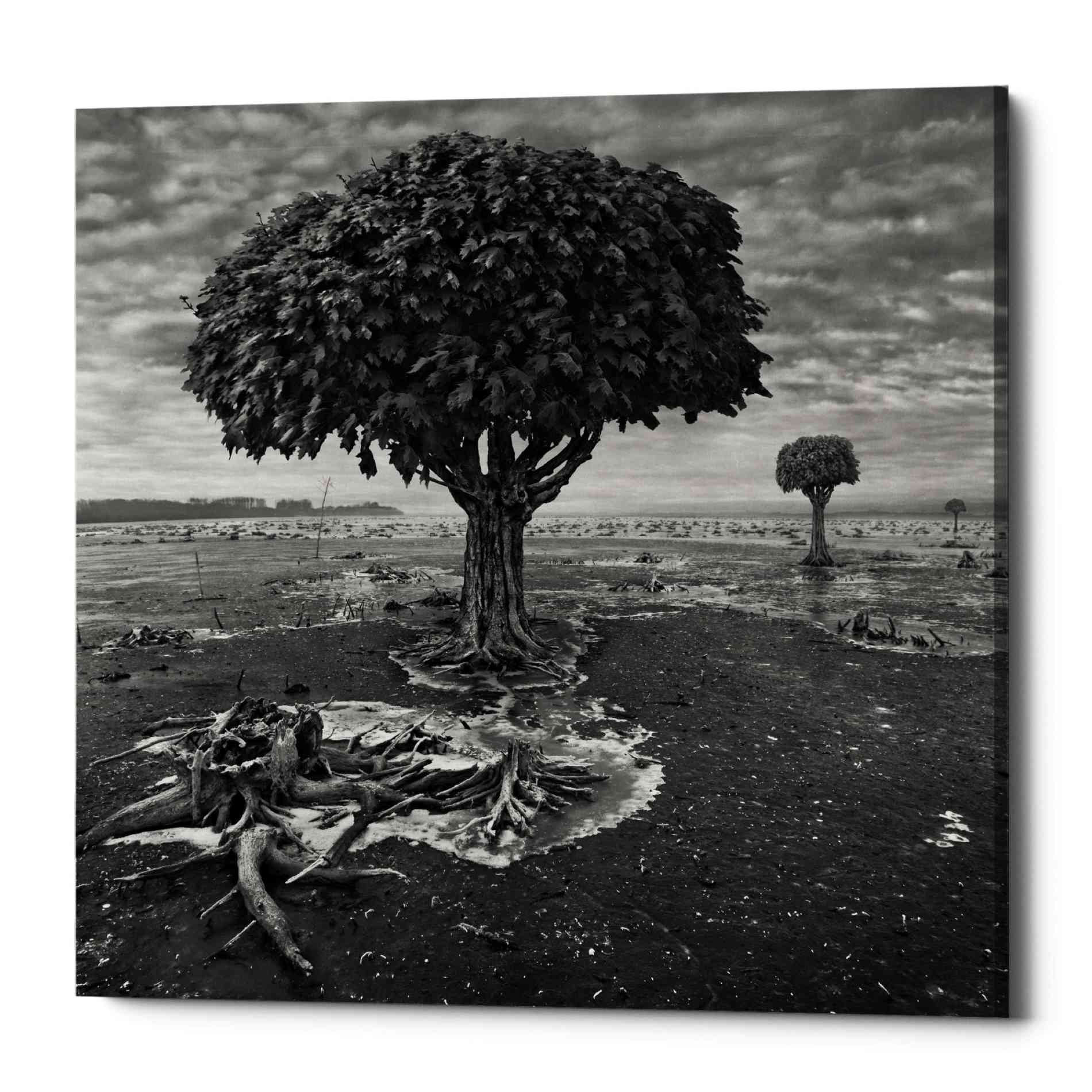'Trees' by Dariusz Klimczak, Canvas Wall Art