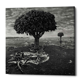 'Trees' by Dariusz Klimczak, Canvas Wall Art