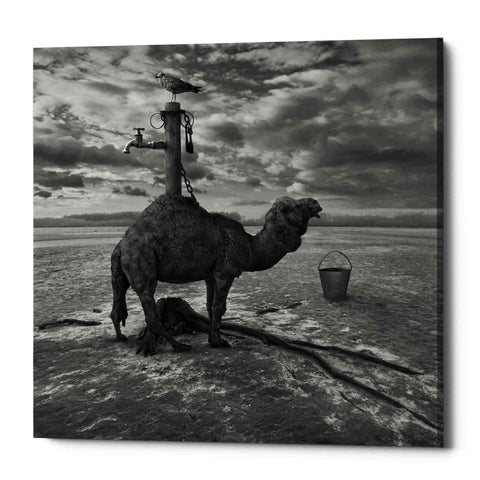 Image of 'Watering Place' by Dariusz Klimczak, Canvas Wall Art