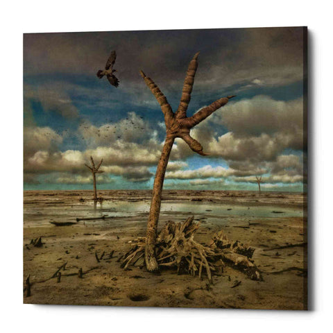 Image of 'Wetlands' by Dariusz Klimczak, Canvas Wall Art
