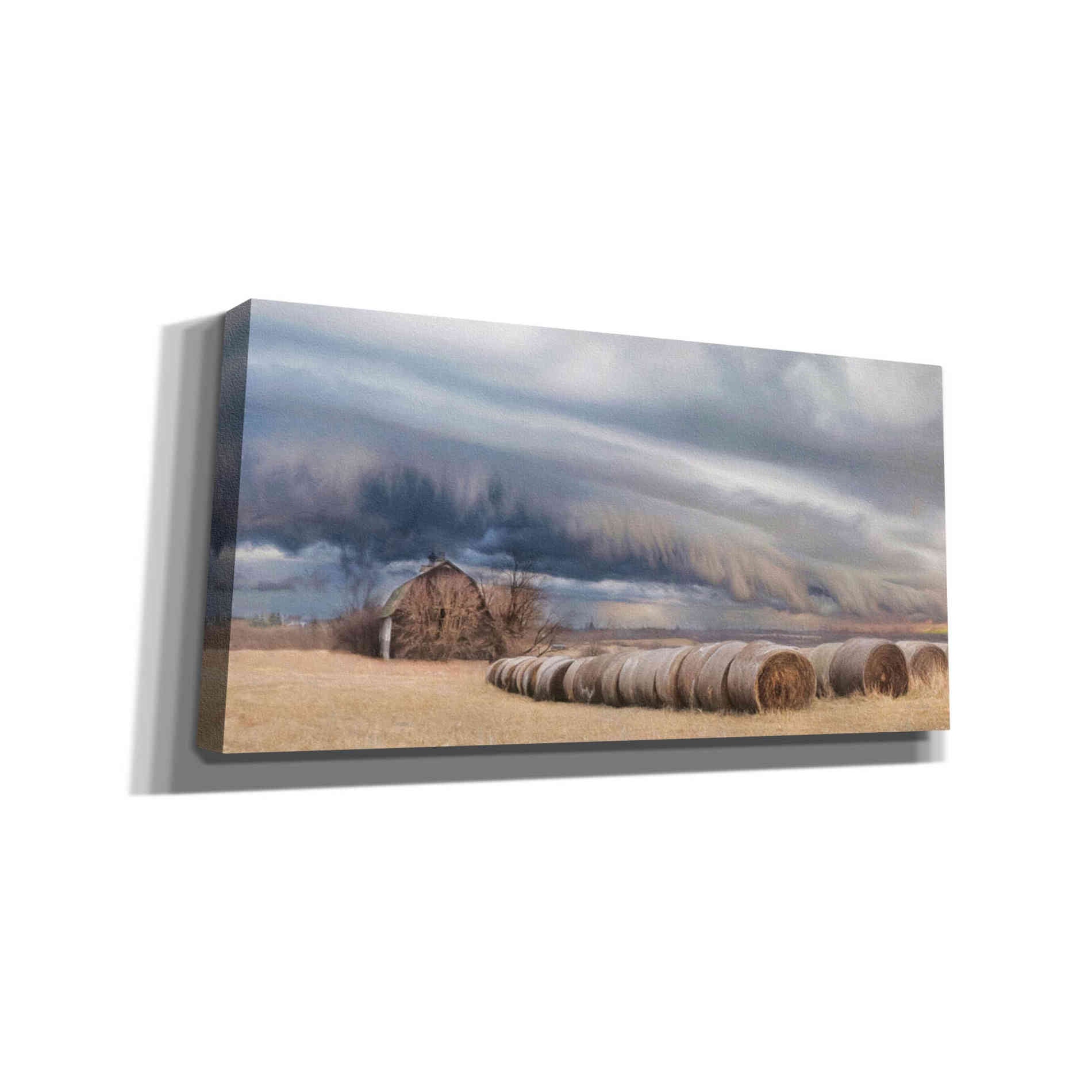 'Tornado Warning' by Lori Deiter, Canvas Wall Art,Size 2 Landscape