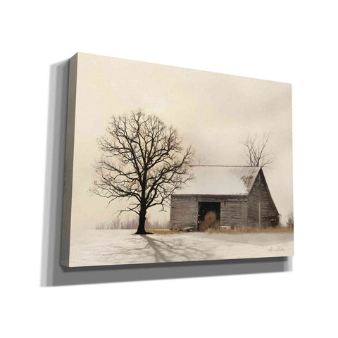 Image of 'Winter Shadows' by Lori Deiter, Canvas Wall Art,Size B Landscape