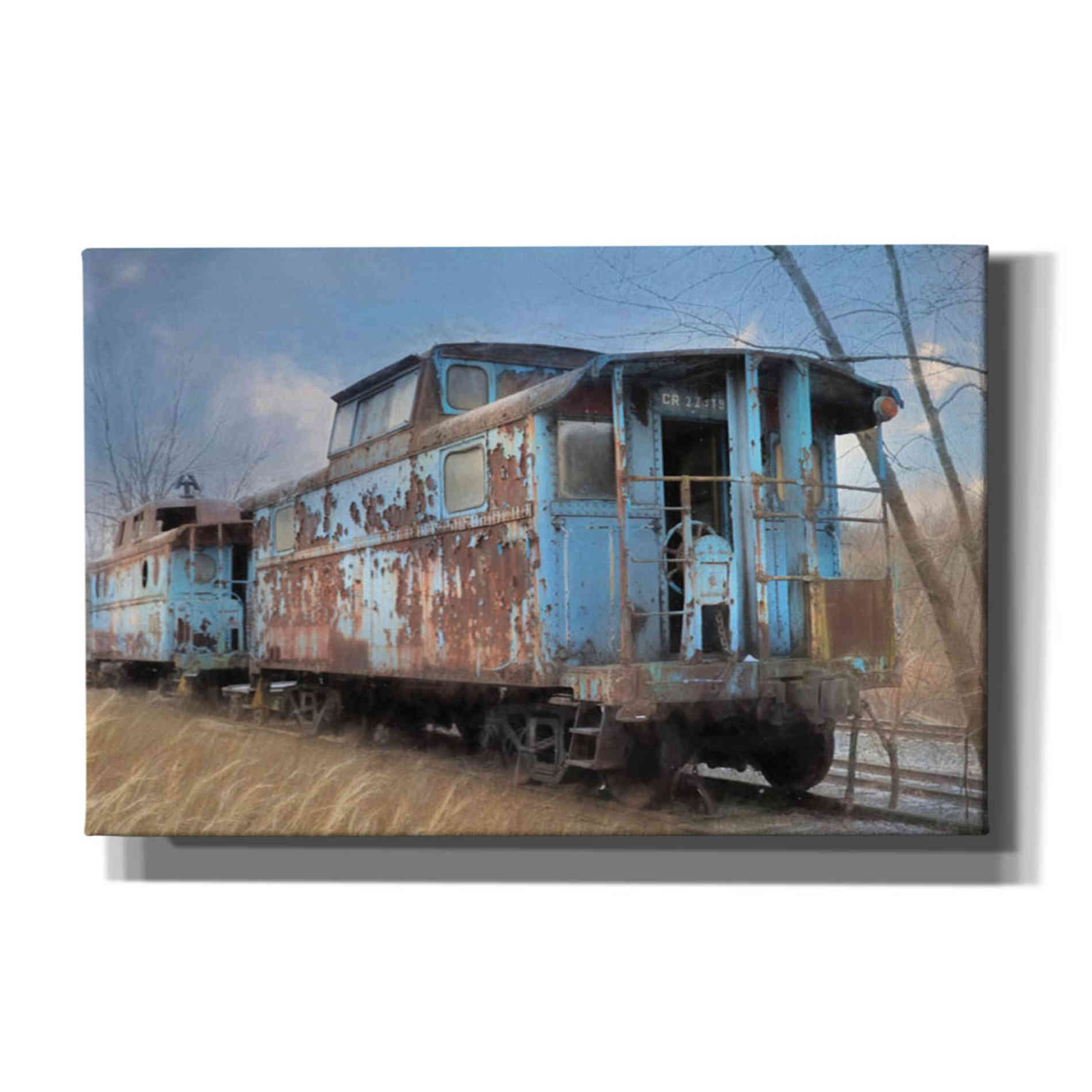 'The Dalmatia Run' by Lori Deiter, Canvas Wall Art,Size A Landscape
