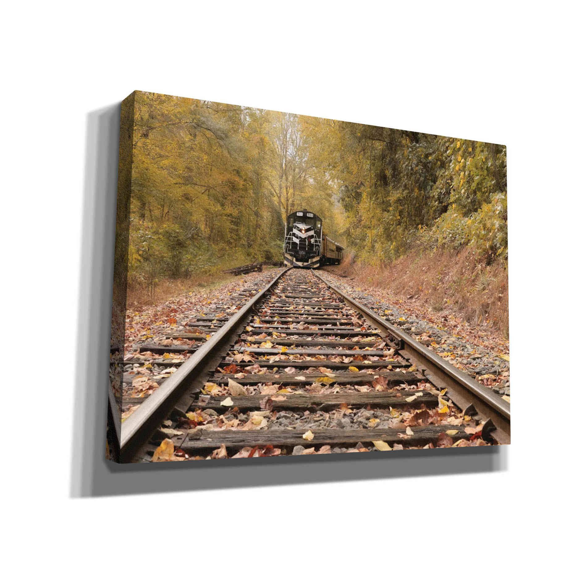 'Great Smoky Mountains Railroad' by Lori Deiter, Canvas Wall Art,Size B Landscape