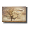 'Golden Tree' by Lori Deiter, Canvas Wall Art,Size A Landscape