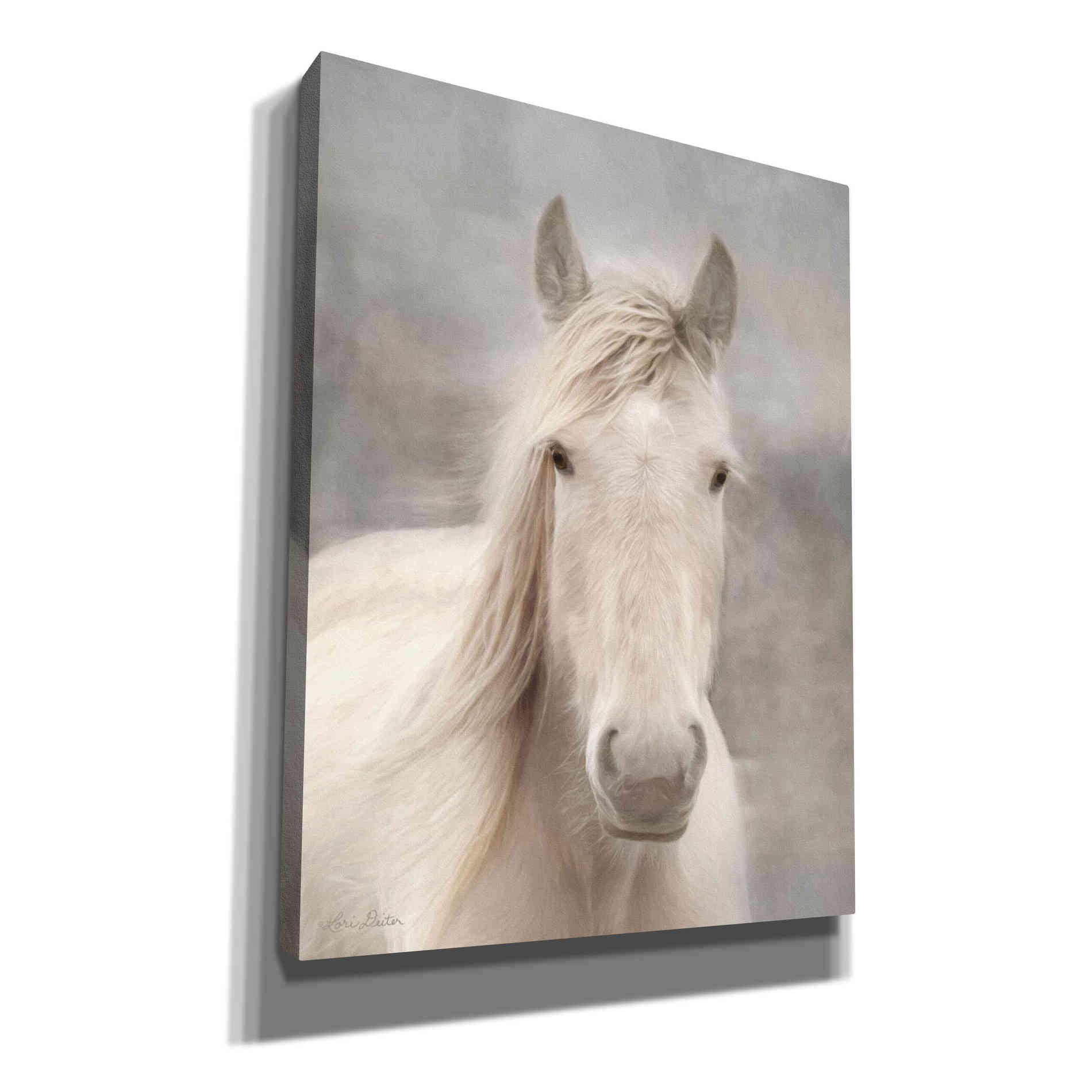 'White Beauty I' by Lori Deiter, Canvas Wall Art,Size B Portrait