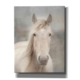 'White Beauty I' by Lori Deiter, Canvas Wall Art,Size B Portrait