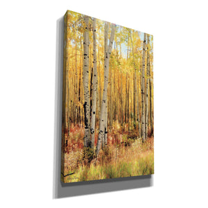 'Solid Gold II' by Lori Deiter, Canvas Wall Art,Size A Portrait