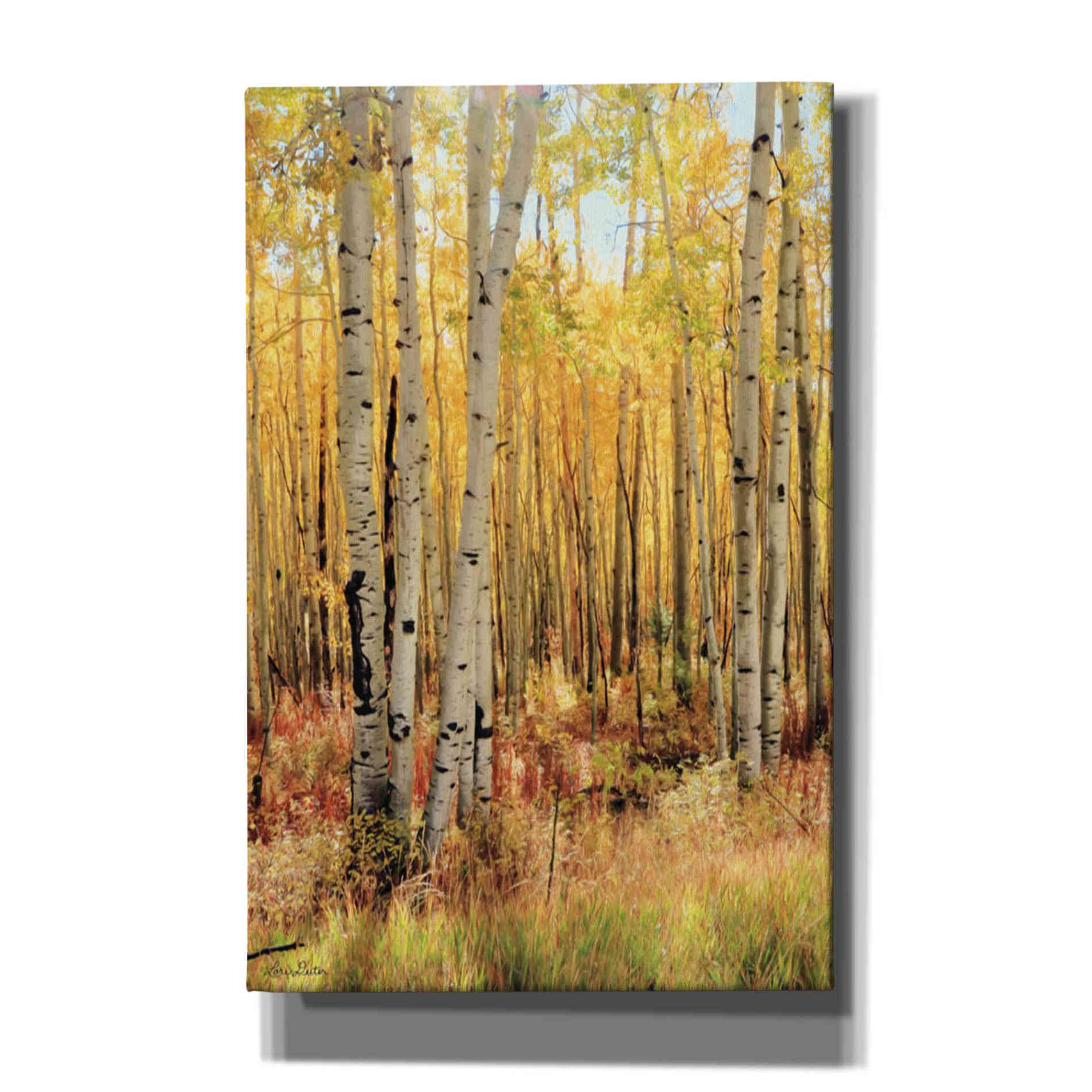 'Solid Gold II' by Lori Deiter, Canvas Wall Art,Size A Portrait