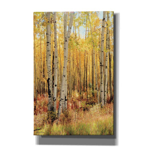 'Solid Gold II' by Lori Deiter, Canvas Wall Art,Size A Portrait