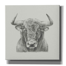 'Black and White Bull' by Ethan Harper, Canvas Wall Art,Size 1 Square