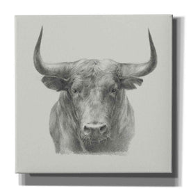 'Black Bull' by Ethan Harper, Canvas Wall Art,Size 1 Square