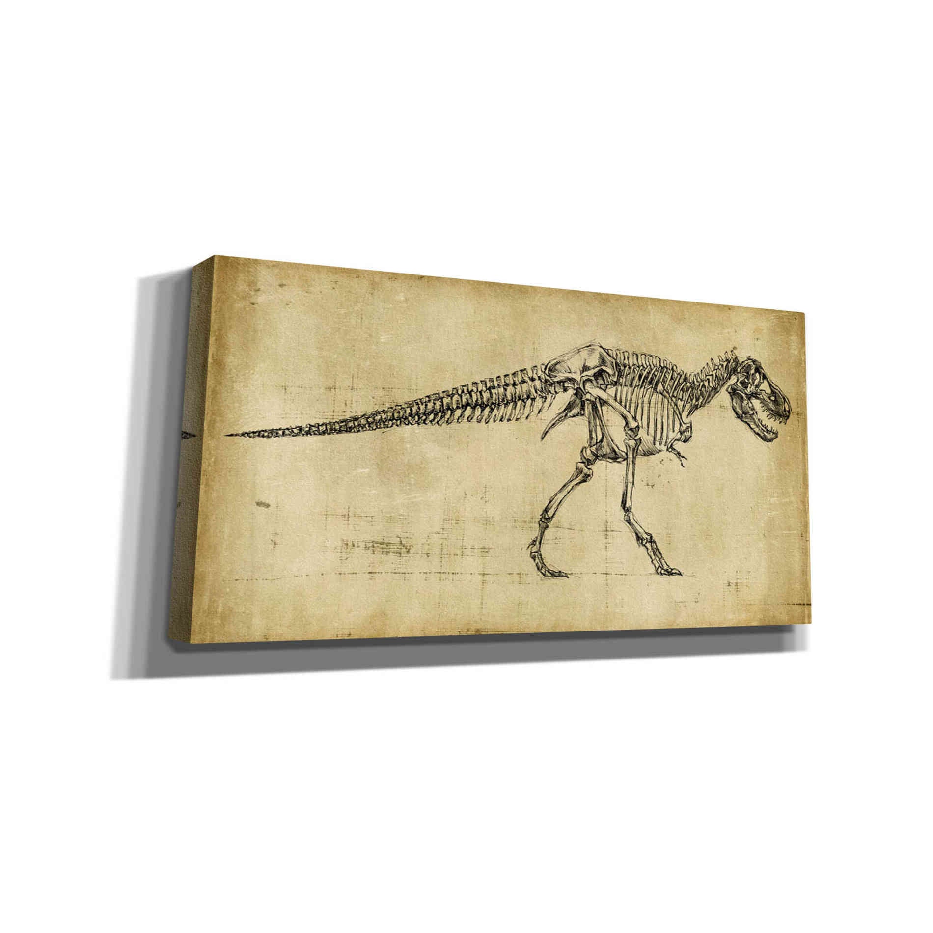 'Tyrannosaurus Rex Study' by Ethan Harper Canvas Wall Art,Size 2 Landscape