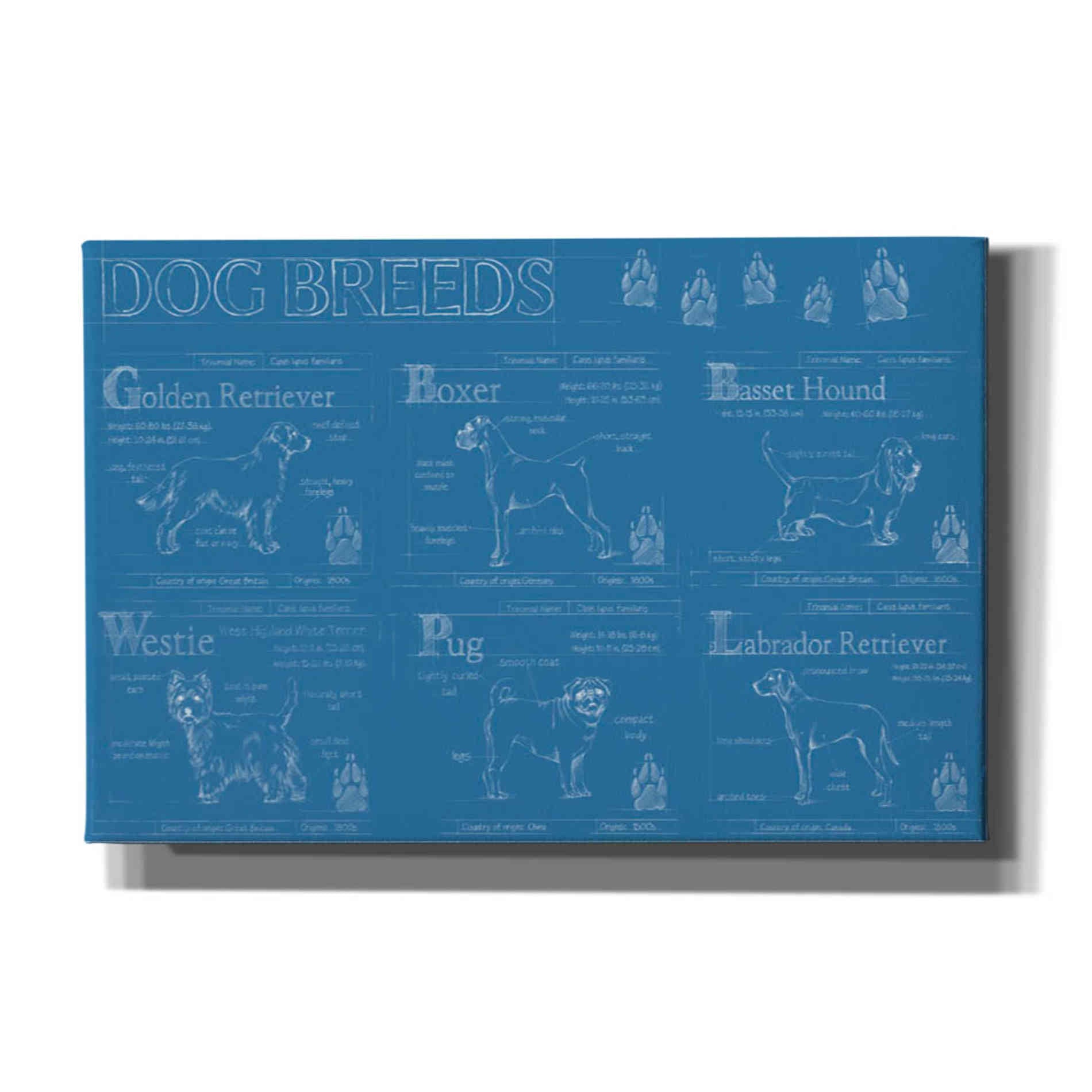 'Dog Breeds Infograph' by Ethan Harper Canvas Wall Art,Size A Landscape