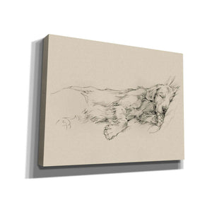 'Dog Days III' by Ethan Harper Canvas Wall Art,Size B Landscape