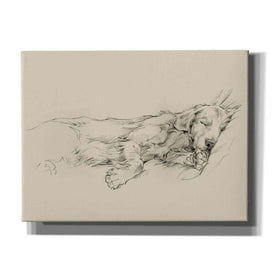 'Dog Days III' by Ethan Harper Canvas Wall Art,Size B Landscape