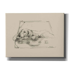 'Stowaway III' by Ethan Harper Canvas Wall Art,Size B Landscape