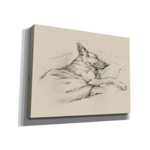 'Dog Days IV' by Ethan Harper Canvas Wall Art,Size B Landscape