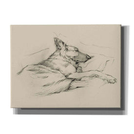 'Dog Days IV' by Ethan Harper Canvas Wall Art,Size B Landscape