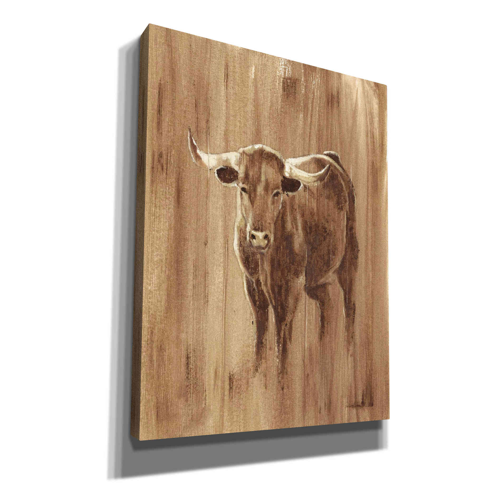 'Wood Panel Longhorn' by Ethan Harper Canvas Wall Art,Size C Portrait