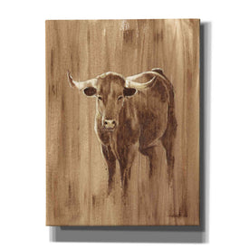 'Wood Panel Longhorn' by Ethan Harper Canvas Wall Art,Size C Portrait