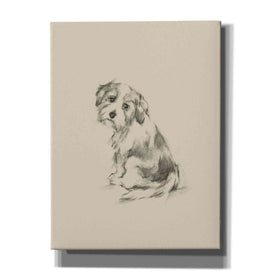 'Puppy Dog Eyes III' by Ethan Harper Canvas Wall Art,Size C Portrait