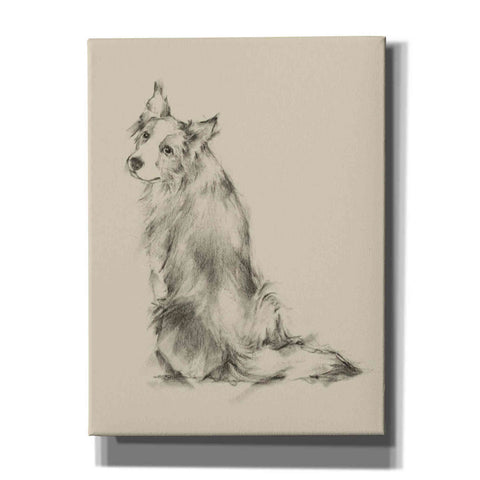 Image of 'Puppy Dog Eyes VI' by Ethan Harper Canvas Wall Art,Size C Portrait