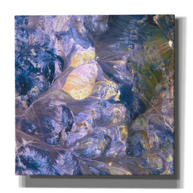 'Earth As Art: Andes' Canvas Wall Art