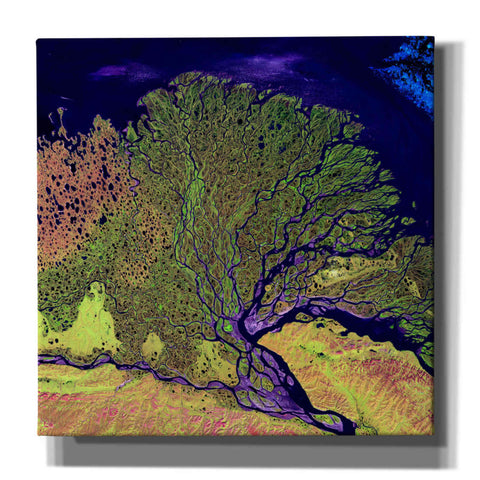 Image of 'Earth As Art: Lena Delta' Canvas Wall Art