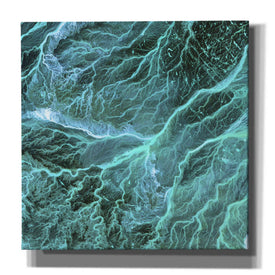 'Earth As Art: Wadi Branches' Canvas Wall Art