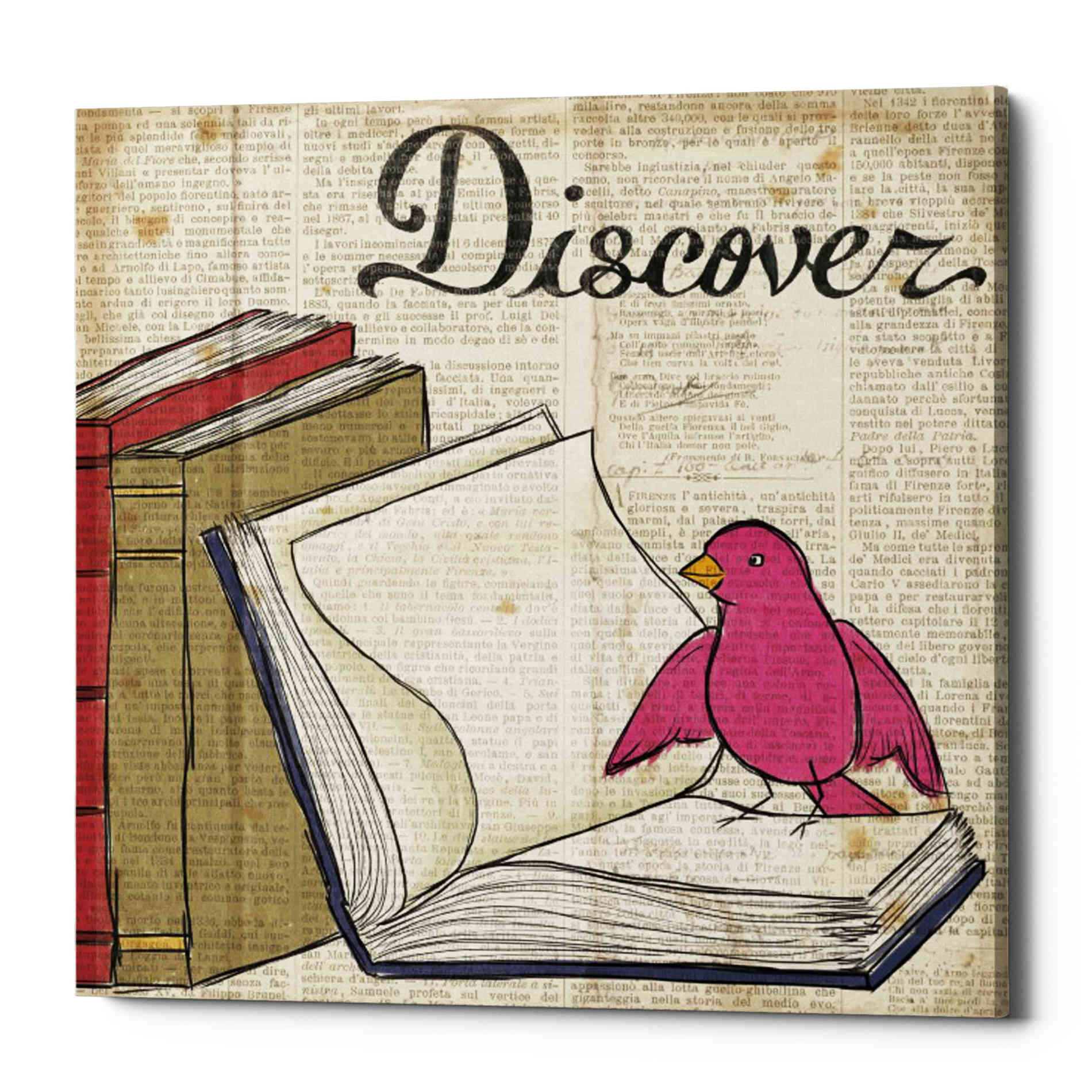 'Bird Inspiration Discover' by Elyse DeNeige, Canvas Wall Art