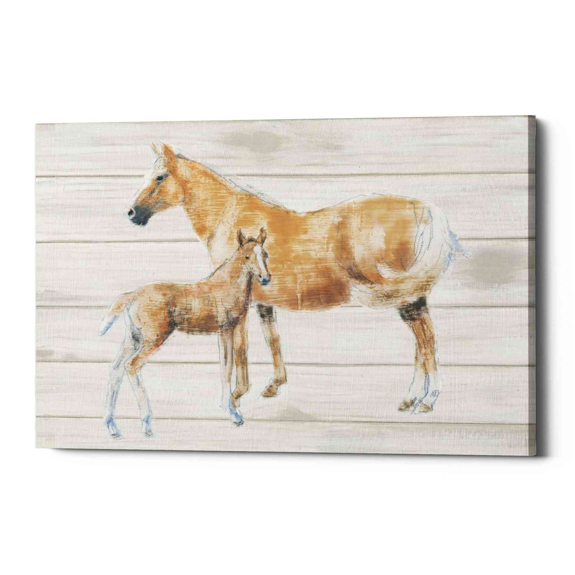 'Horse and Colt on Wood' by Emily Adams, Canvas Wall Art