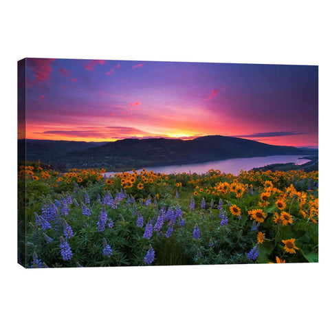 Image of 'Paradise Garden' by Jesse Estes, Canvas Wall Art