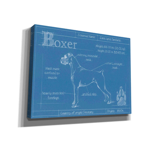 Image of 'Blueprint Boxer' by Ethan Harper Canvas Wall Art,Size B Landscape