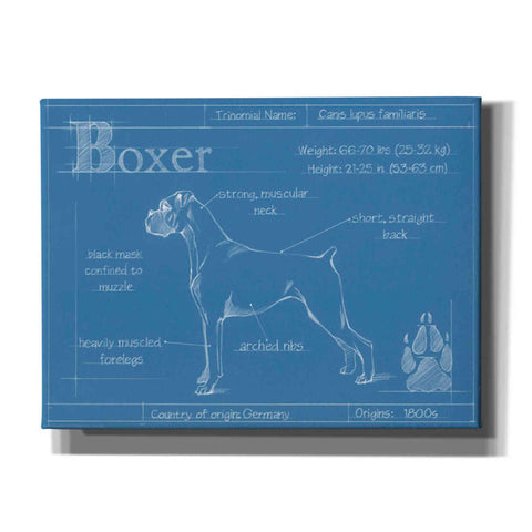 Image of 'Blueprint Boxer' by Ethan Harper Canvas Wall Art,Size B Landscape