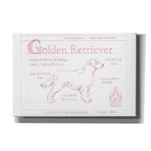 'Blueprint Golden Retriever in Pink' by Ethan Harper Canvas Wall Art,Size A Landscape
