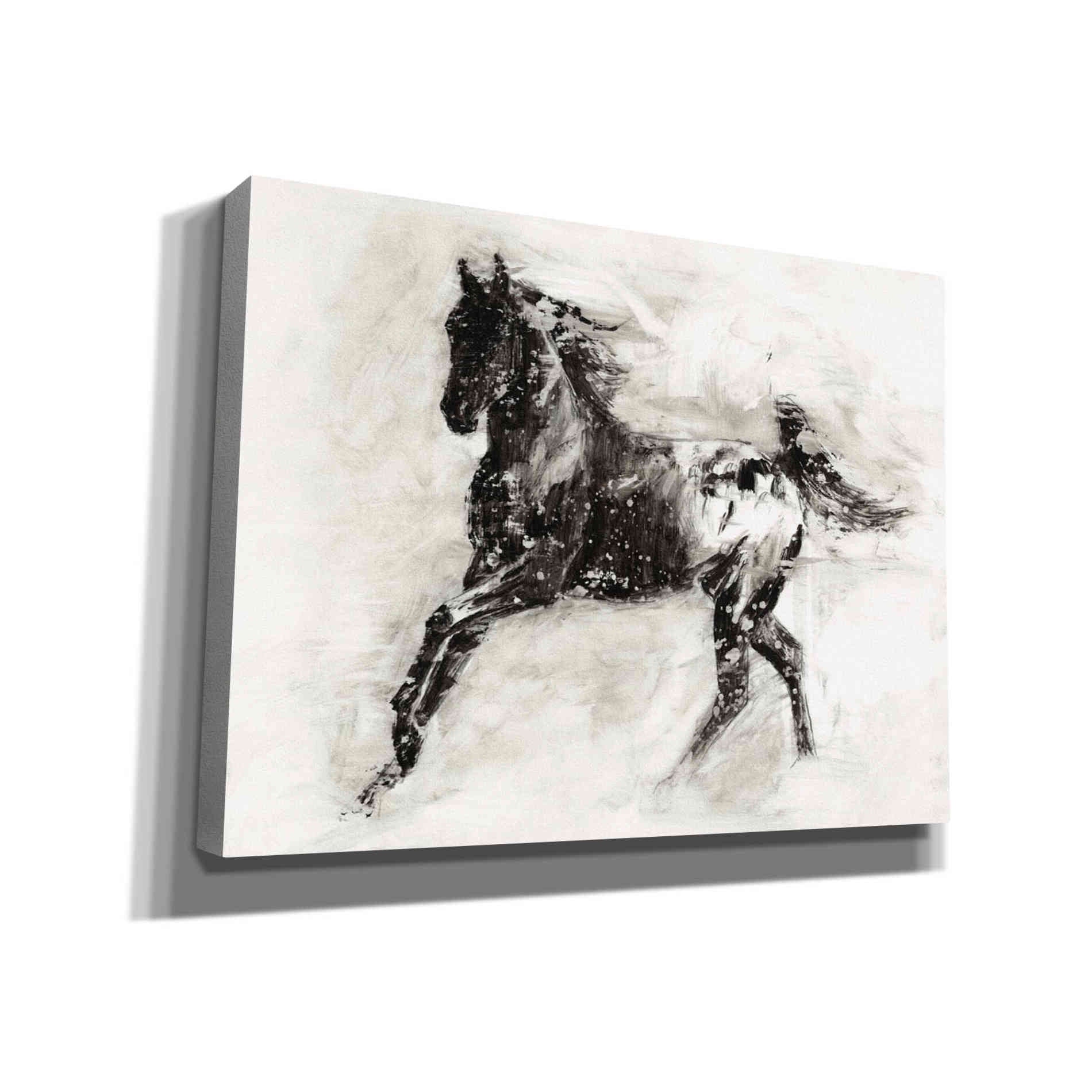 'Rustic Appaloosa II' by Ethan Harper Canvas Wall Art,Size B Landscape