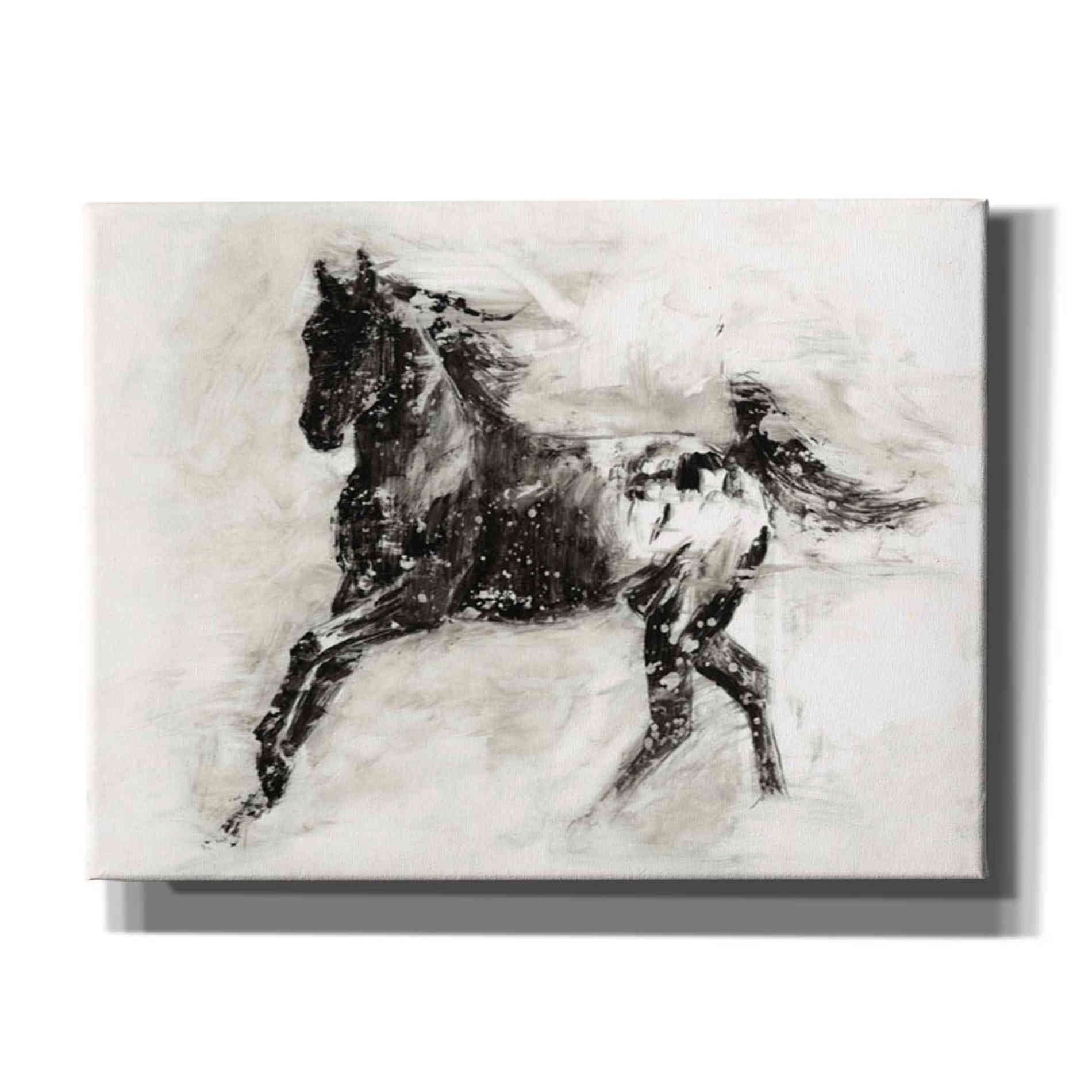 'Rustic Appaloosa II' by Ethan Harper Canvas Wall Art,Size B Landscape