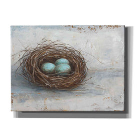 'Rustic Bird Nest I' by Ethan Harper Canvas Wall Art,Size C Landscape
