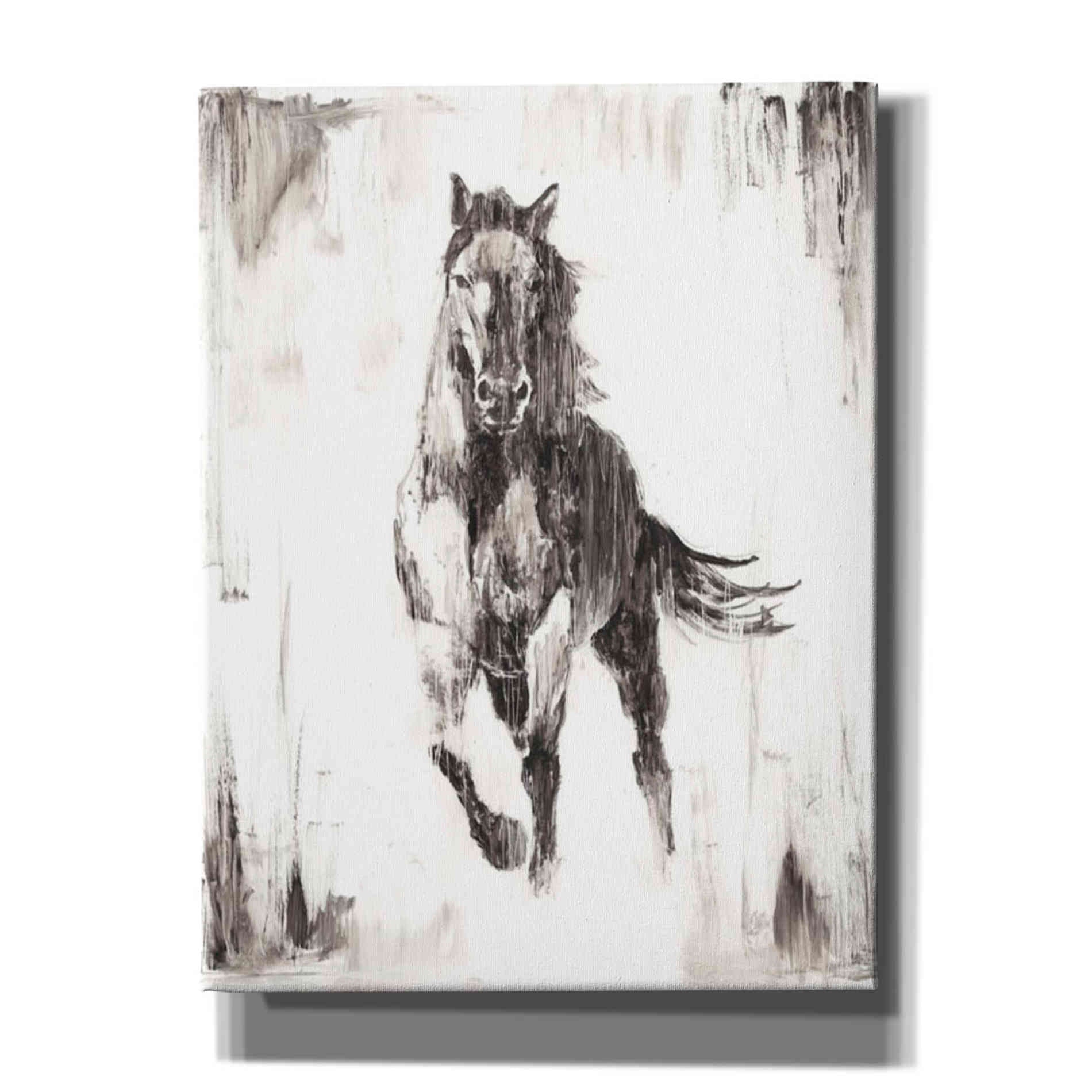 'Rustic Black Stallion II' by Ethan Harper Canvas Wall Art,Size B Portrait