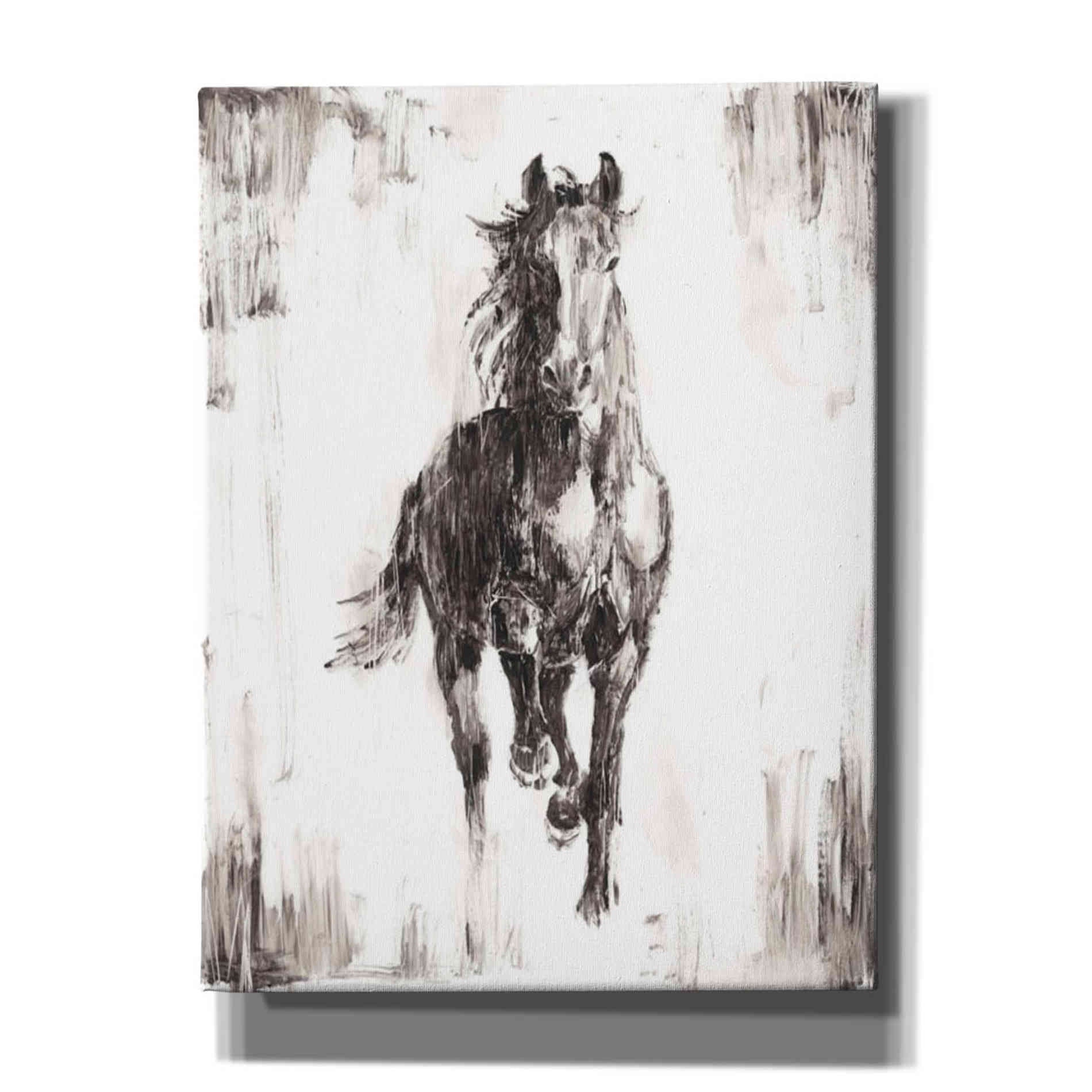 'Rustic Black Stallion I' by Ethan Harper Canvas Wall Art,Size B Portrait