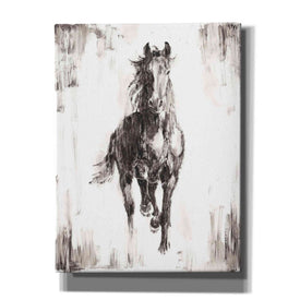 'Rustic Black Stallion I' by Ethan Harper Canvas Wall Art,Size B Portrait