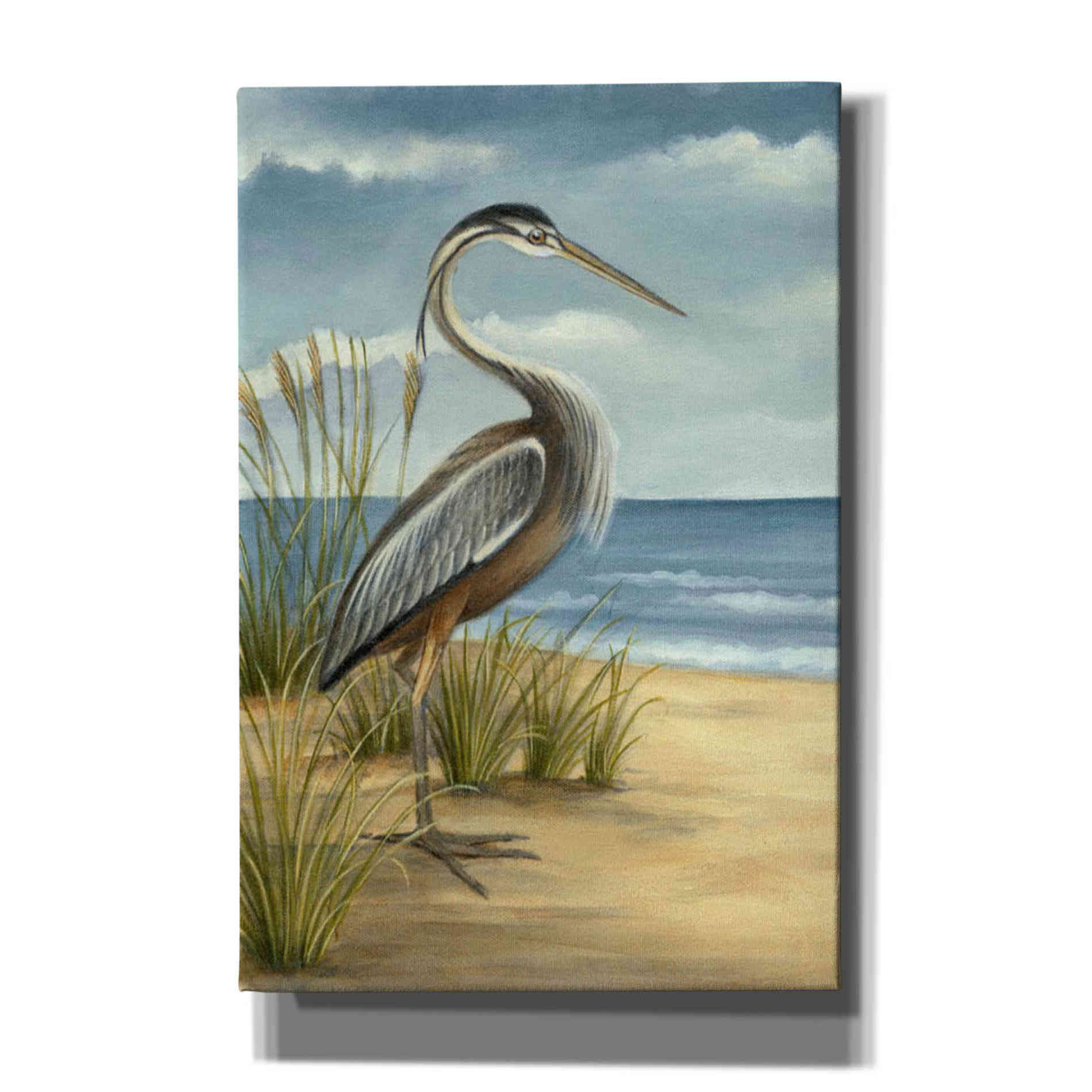 'Shore Bird I' by Ethan Harper Canvas Wall Art,Size A Portrait
