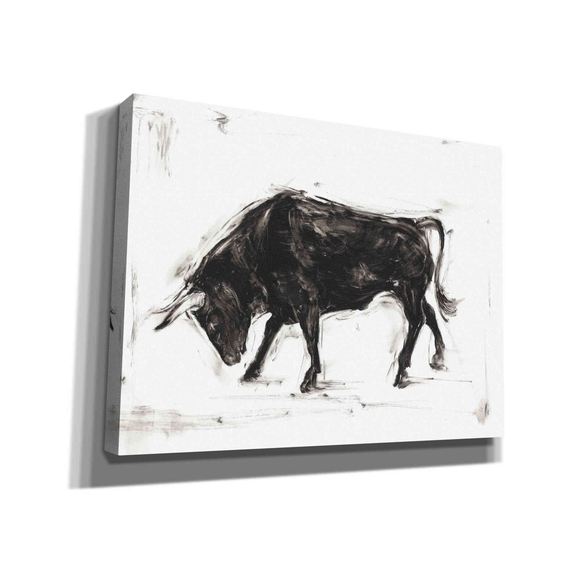 'Toro I' by Ethan Harper Canvas Wall Art,Size B Landscape