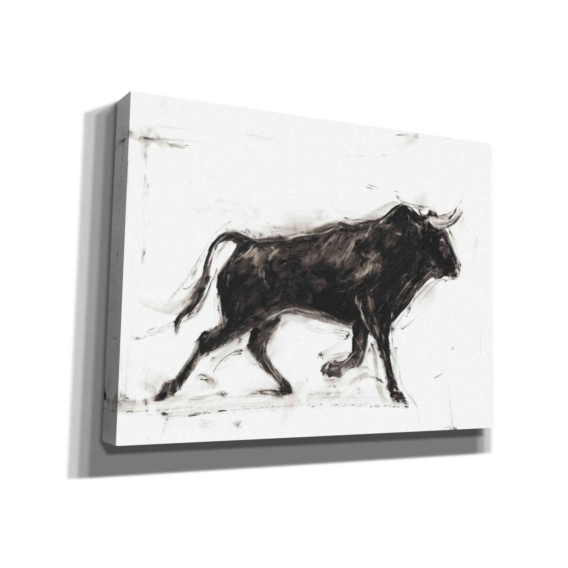 'Toro II' by Ethan Harper Canvas Wall Art,Size B Landscape