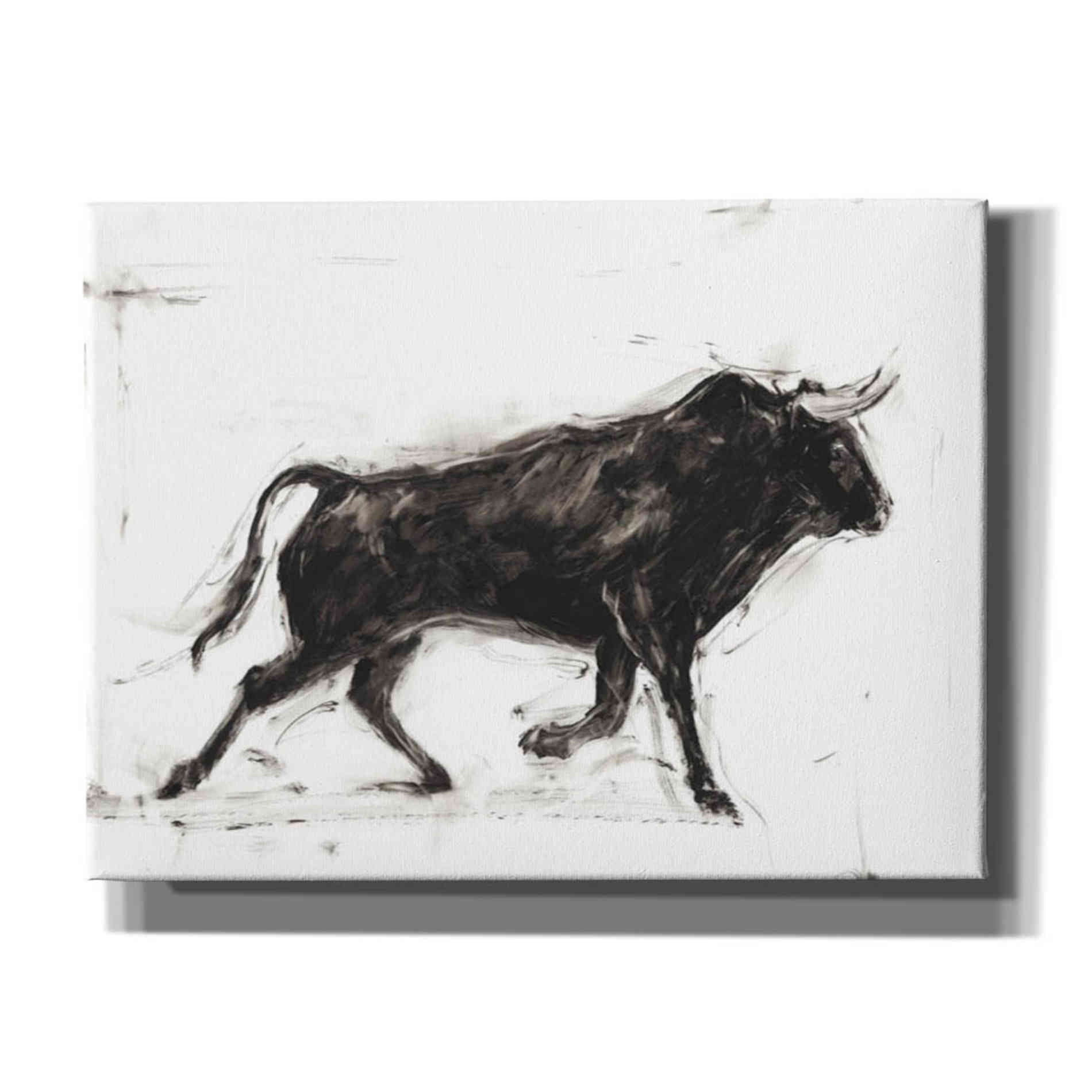 'Toro II' by Ethan Harper Canvas Wall Art,Size B Landscape