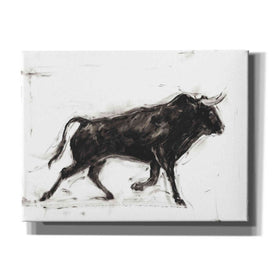 'Toro II' by Ethan Harper Canvas Wall Art,Size B Landscape