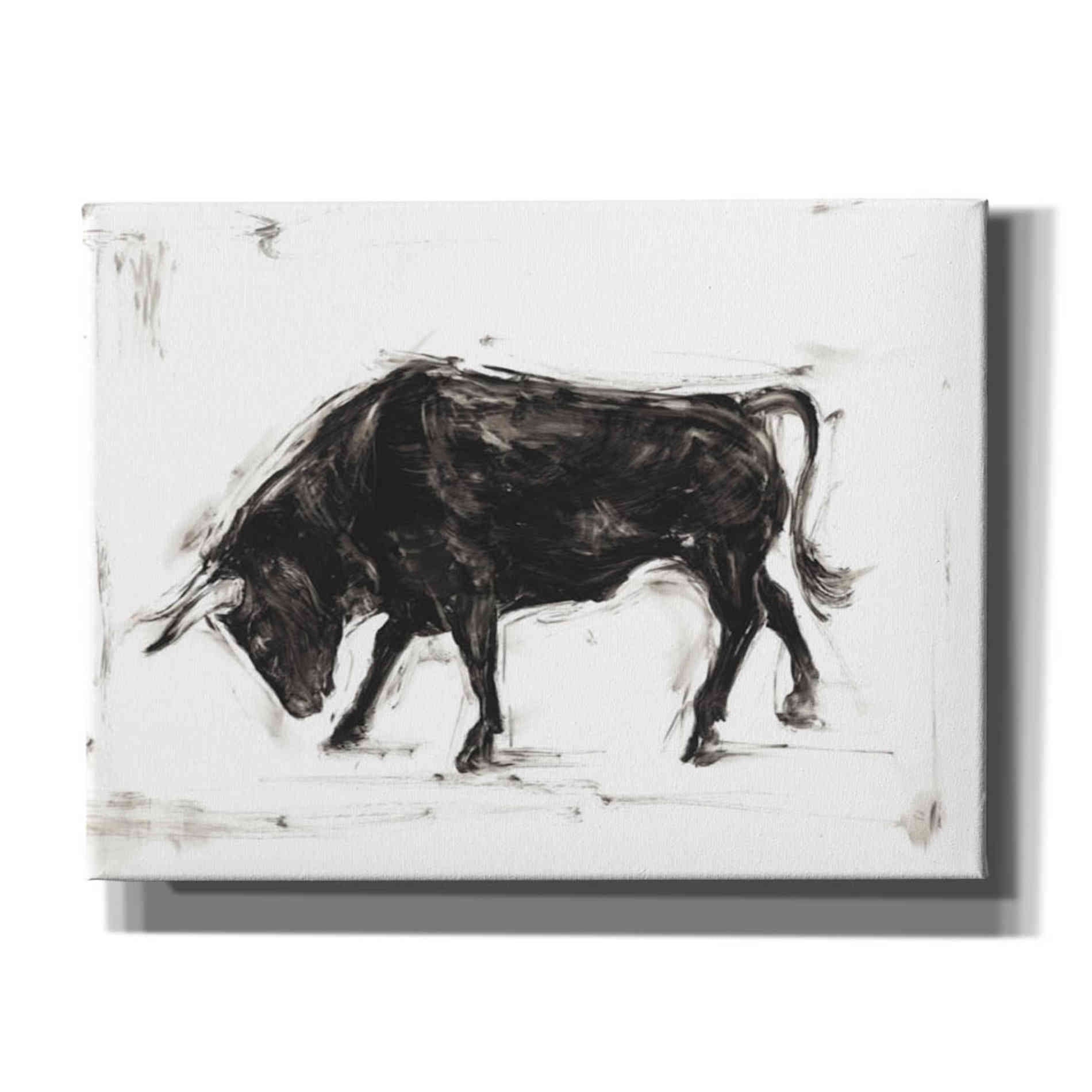 'Toro I' by Ethan Harper Canvas Wall Art,Size B Landscape