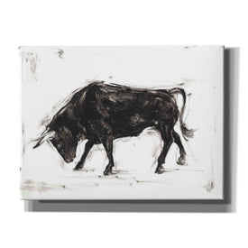 'Toro I' by Ethan Harper Canvas Wall Art,Size B Landscape